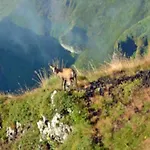 Mobil-home Avec Terrasse - 4 Pers. - Api-1-52-2034 La Tour-dʼAuvergne