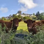 Mobil-home Avec Terrasse - 4 Pers. - Api-1-52-2034 אתר קמפינג