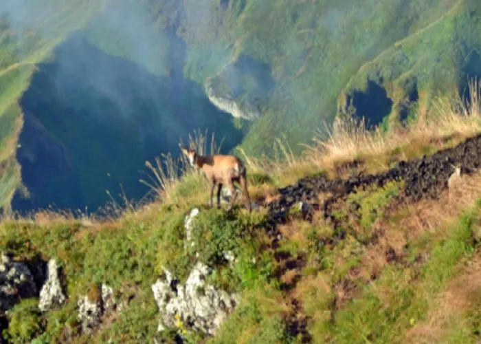 Mobil-home Avec Terrasse - 4 Pers. - Api-1-52-2034 La Tour-d'Auvergne