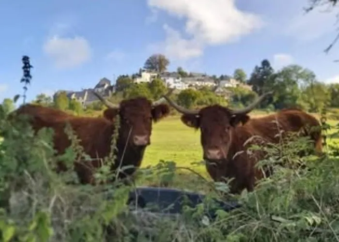 Mobil-home Avec Terrasse - 4 Pers. - Api-1-52-2034 Campsite